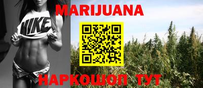 сатива Аша