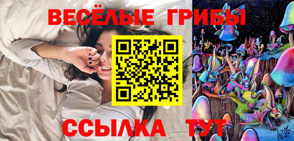 Псилоцибиновые грибы Cubensis  где купить наркотик  Вход с VPN  Егорьевск  Галлюциногенные грибы GOLDEN TEACHER 