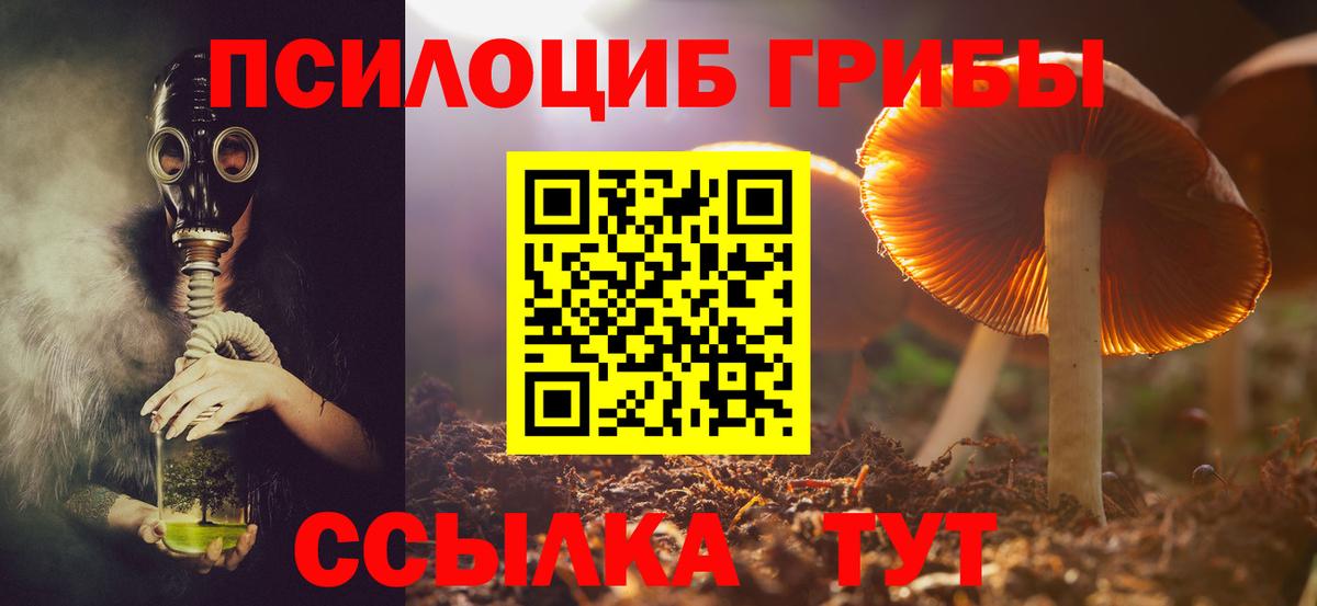 Галлюциногенные грибы Cubensis Егорьевск